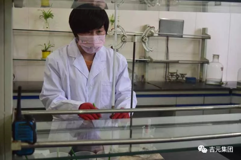 11.webp.jpg 11.webp.jpg