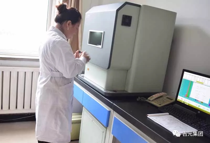 13.webp.jpg 13.webp.jpg